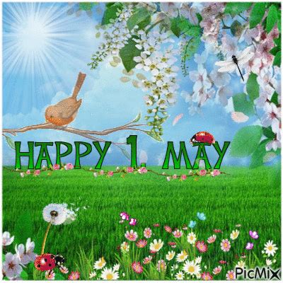 Happy May GIFs